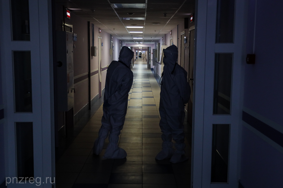 Пензенцам рассказали о летучих мышах Сибири и Дагестана, зараженых коронавирусом