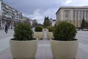 Вадим Кулик заявил о промышленной революции в современных российских ИТ-разработках