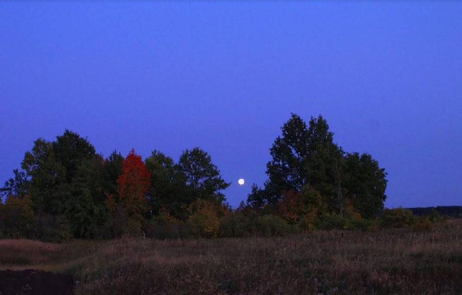 Ночью 12 августа пензенцы будут наблюдать метеорный поток Персеиды