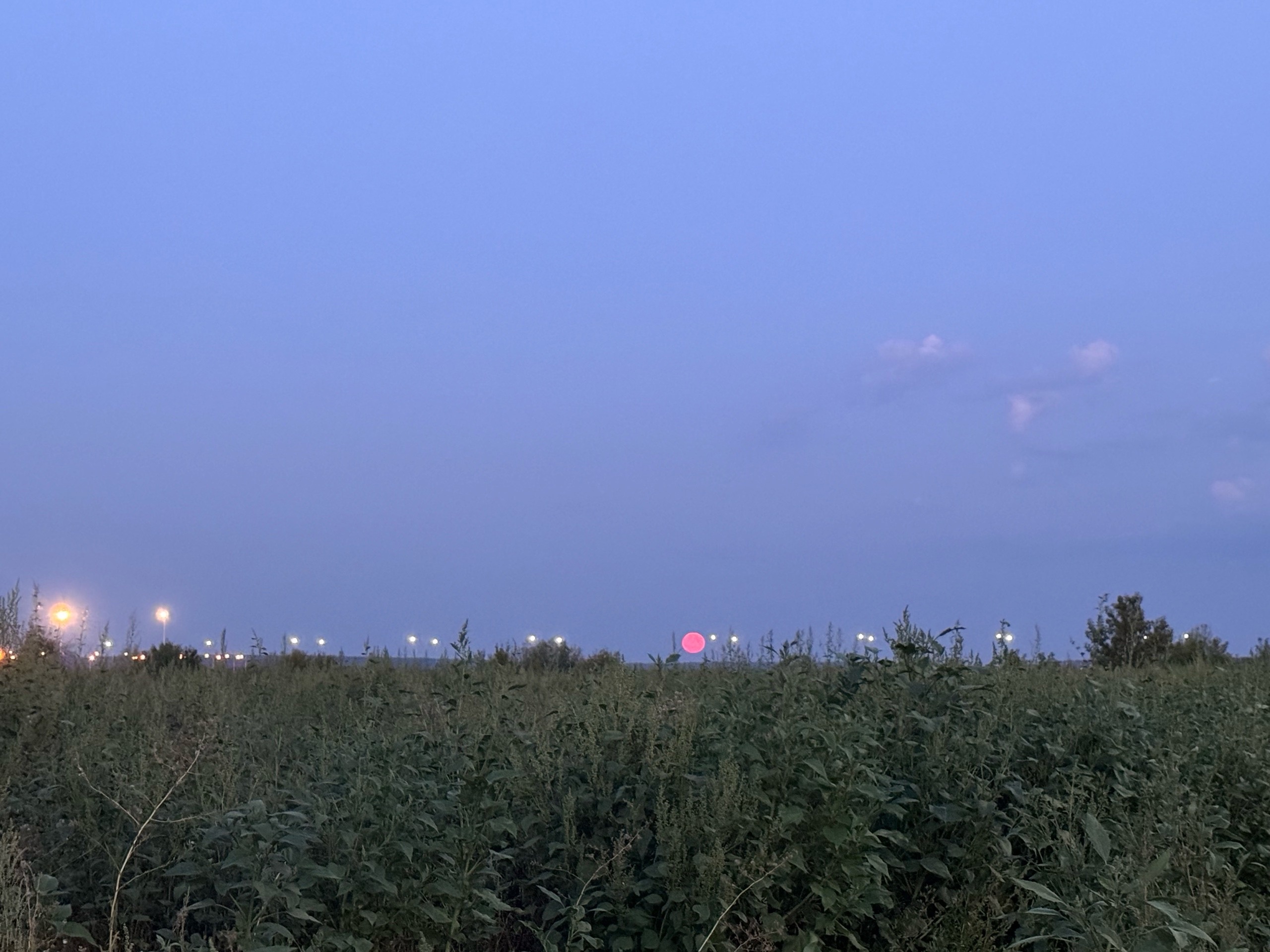 Пензенцы смогли увидеть уникальное суперлуние: такого не будет до 2037 года