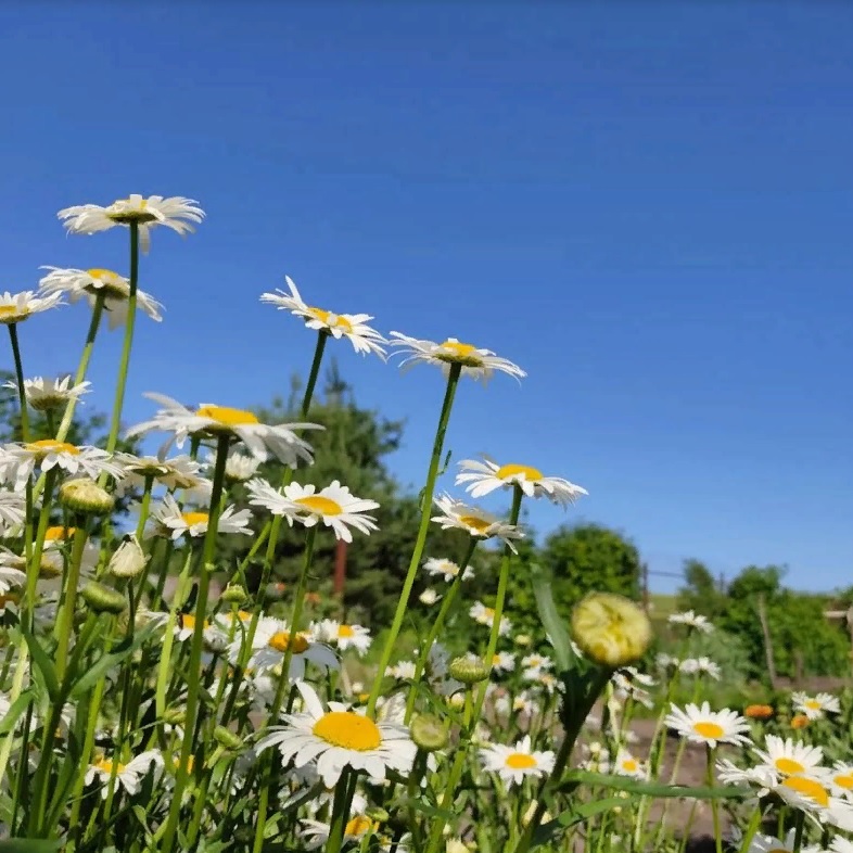 Пензенцев ждет возвращение тридцатиградусной жары