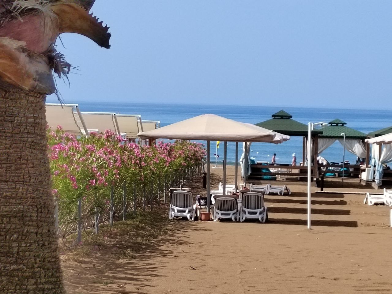 В Роскачестве рассказали, что входит в систему «все включено»