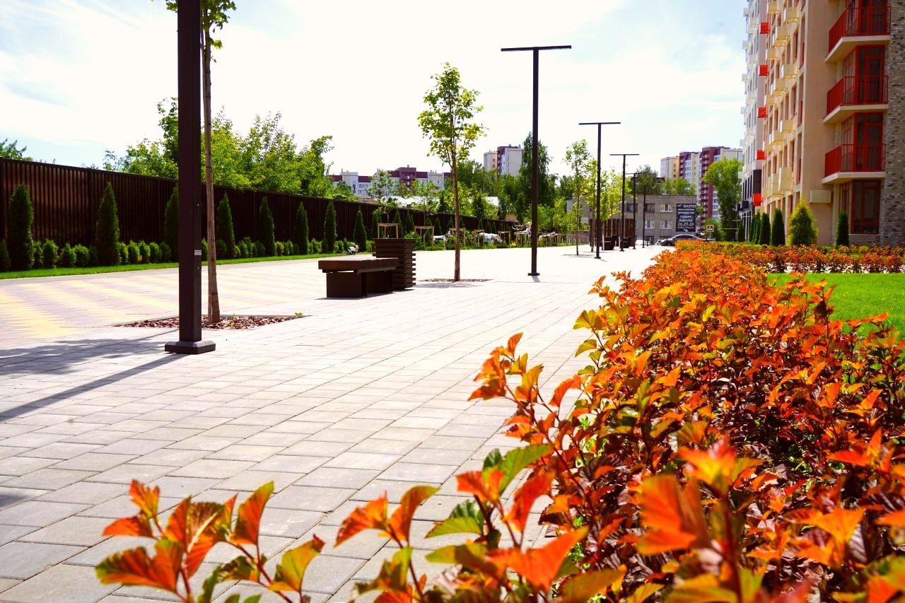 Вильфанд обещает пензенцам комфортный август