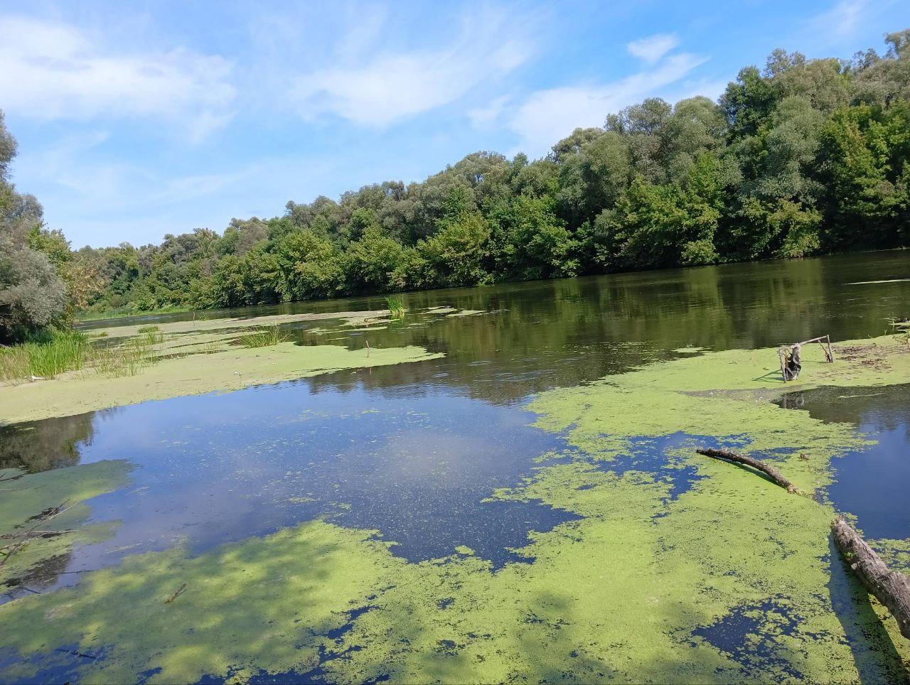 В Пензе в реке Суре обнаружено тело неизвестного мужчины