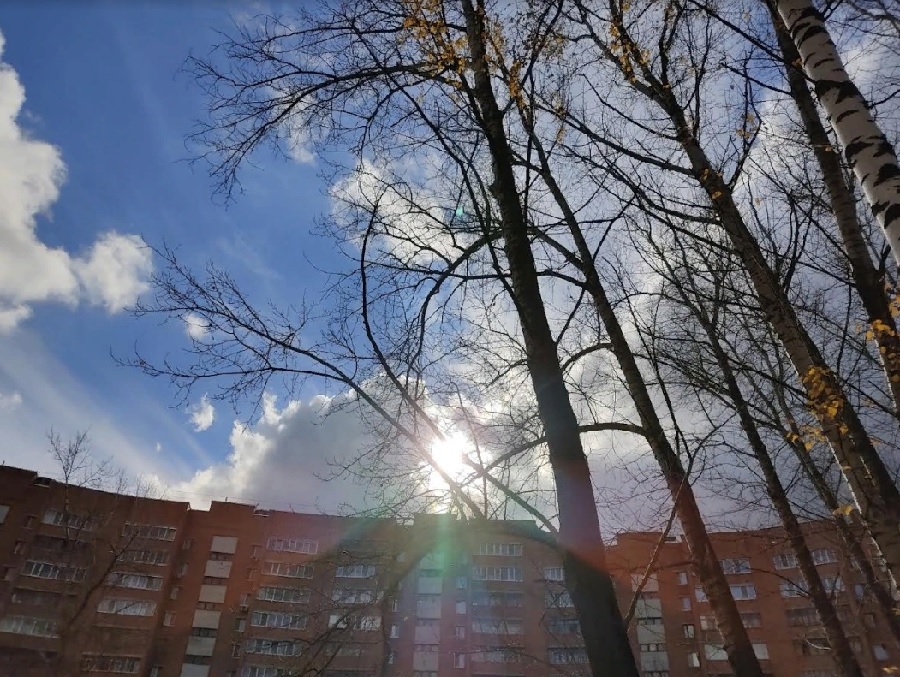 Вильфанд назвал «аномальной» жару, установившуюся в августе