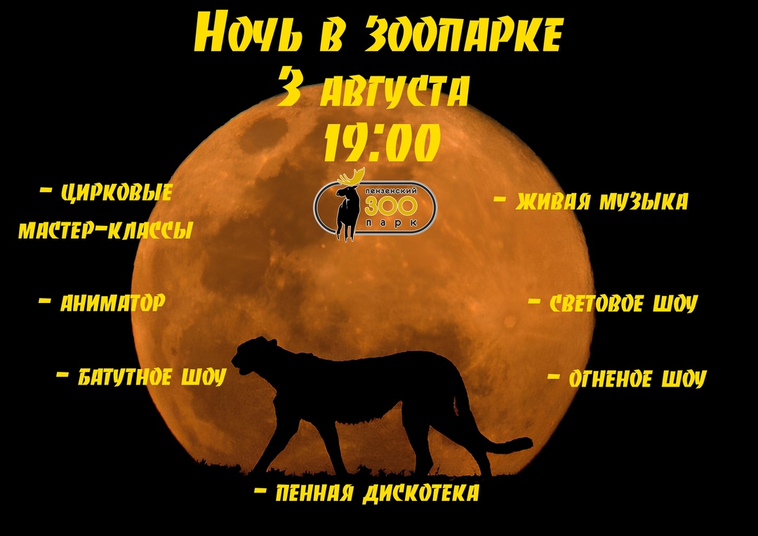 3 августа в Пензенском зоопарке пройдет пенная вечеринка и огненное шоу под звездным небом