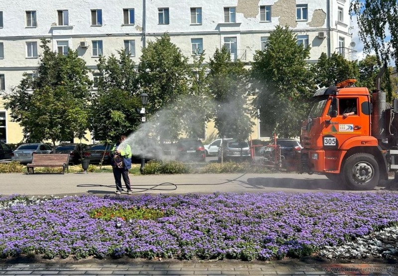Пенза утопает в цветах: более 296 тысяч растений украшают городские клумбы