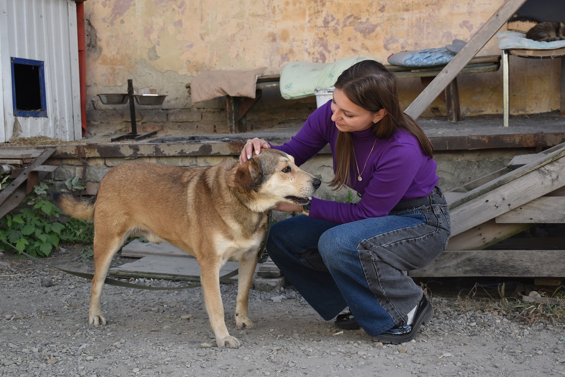 В Пензе  помогли бездомным животным