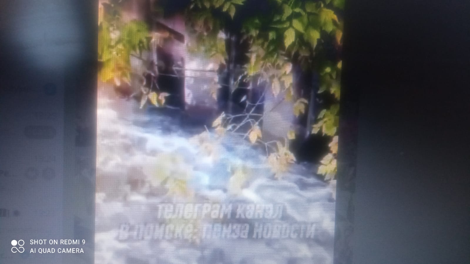 В Пензе мальчик, рискуя жизнью, спас тонущего котёнка