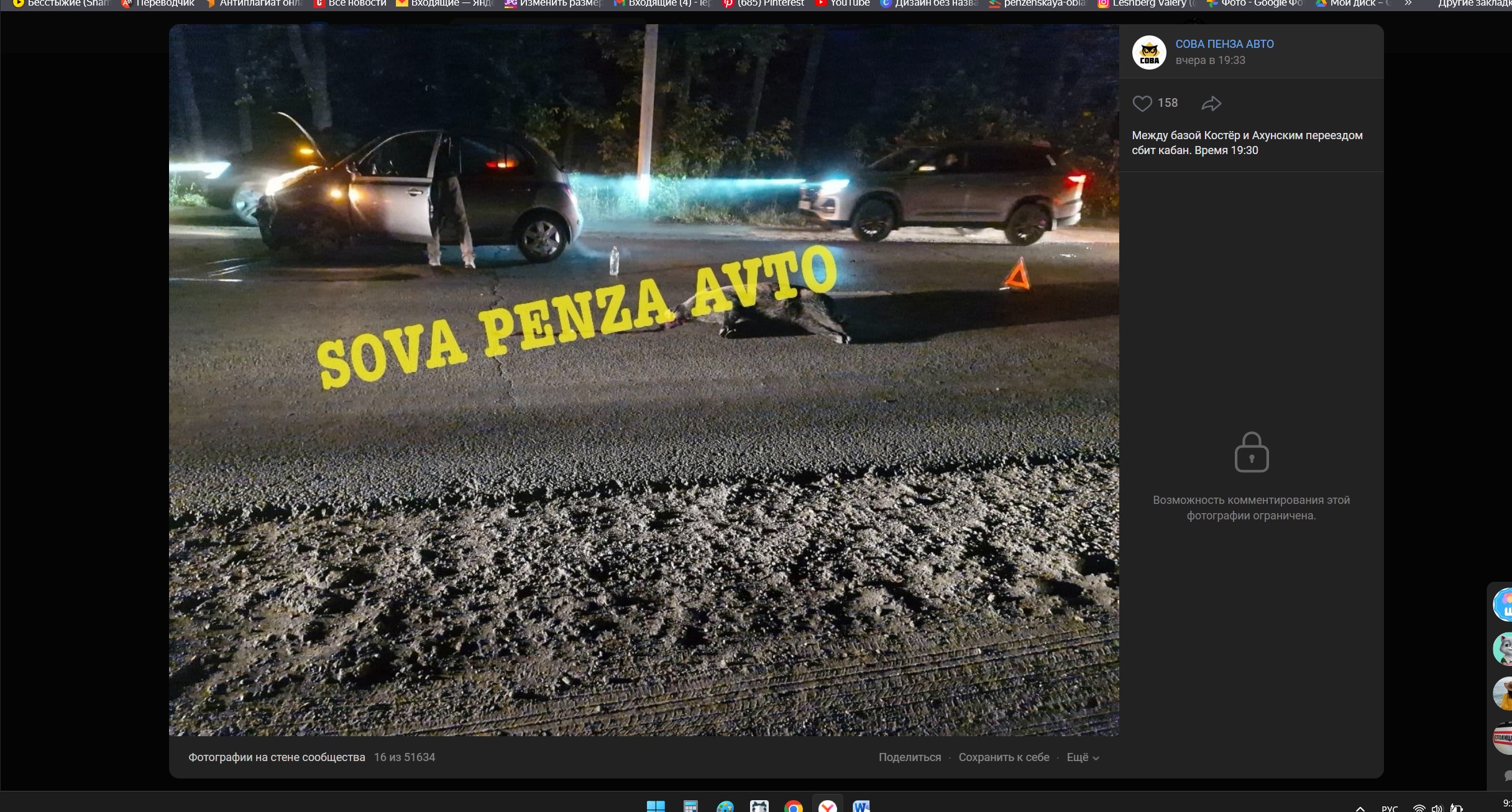 В Пензе автомобилисты задавили на дороге дикого зверя