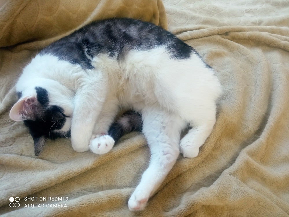 Эндокринолог Павлова перед принятием важного решения советует хорошо выспаться