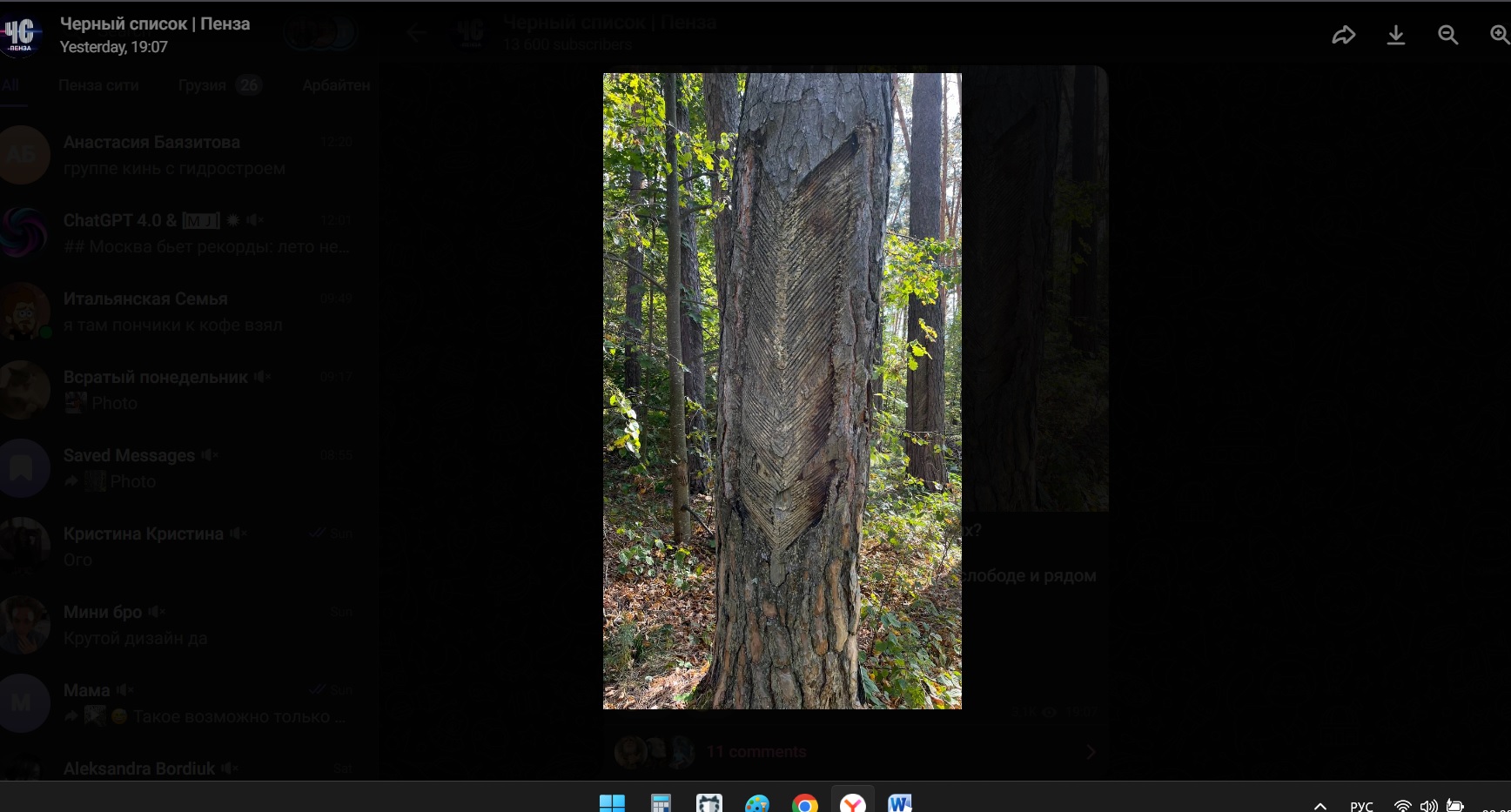 Жители Лунинского района заметили на деревьях странные отметины в виде насечек