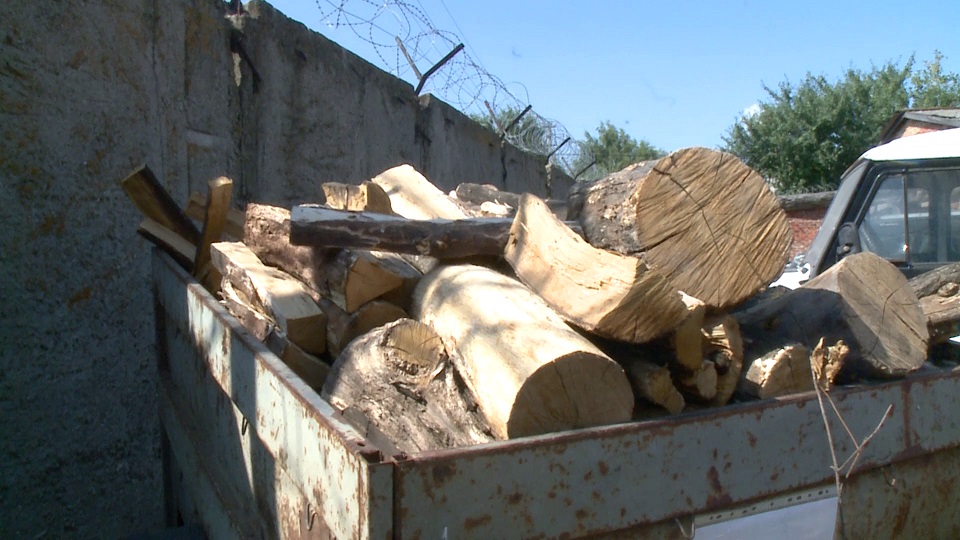 Житель Пензенской области незаконно срубил дуб и клен, чтобы растопить баню