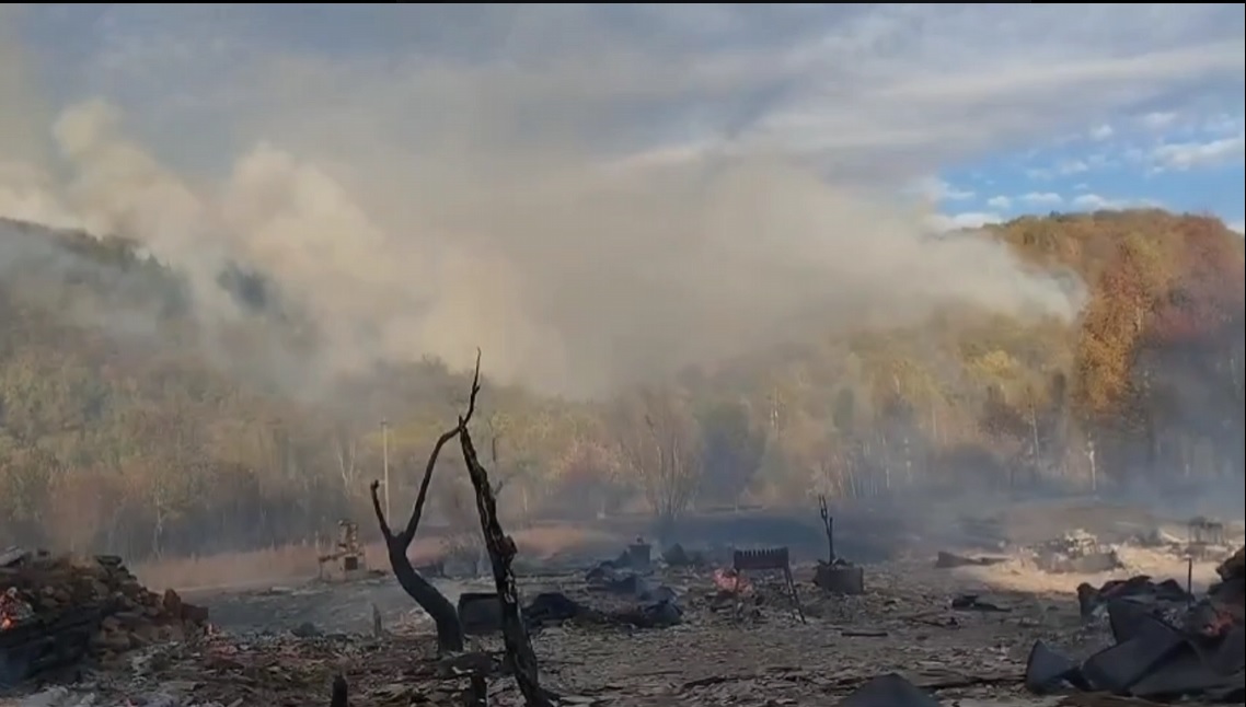 В Пензенской области в выходные случилось 11 лесных пожаров