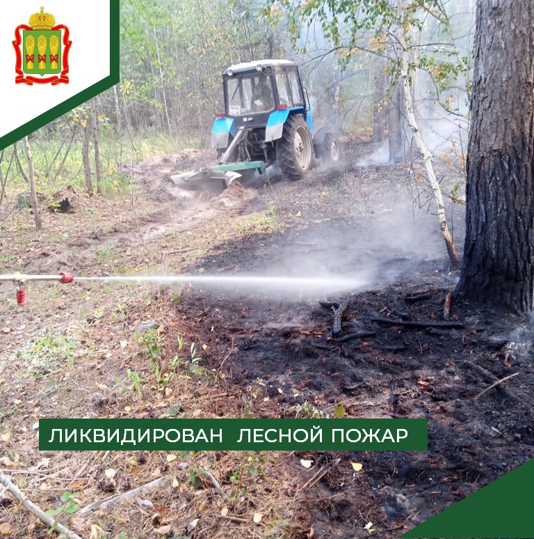 В Кузнецком районе потушили лесной пожар