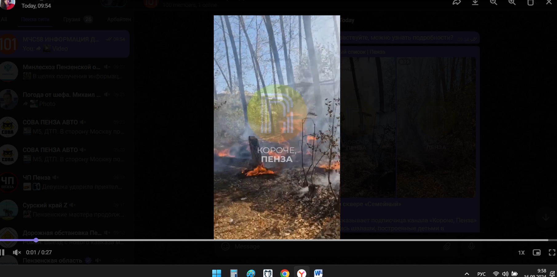 Пензенцы рассказали о пожаре в сквере Семейный