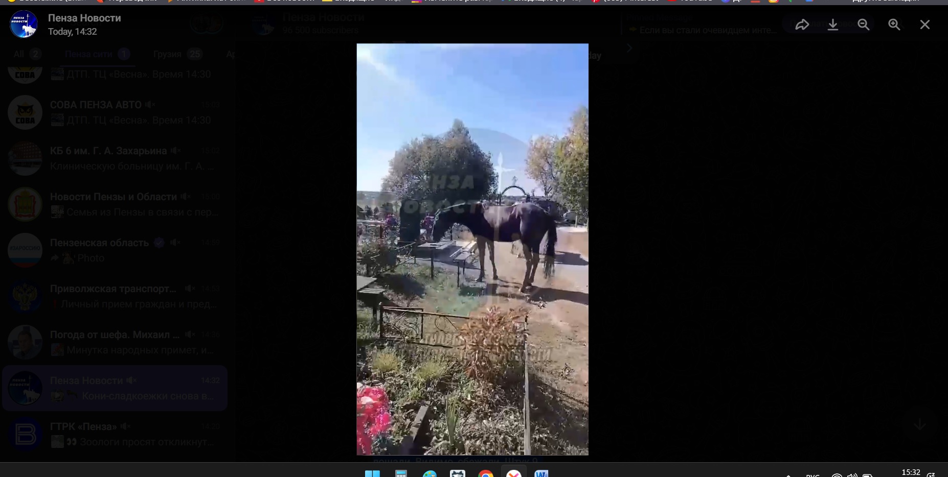 В Богословке на кладбище вернулись кони-сладкоежки