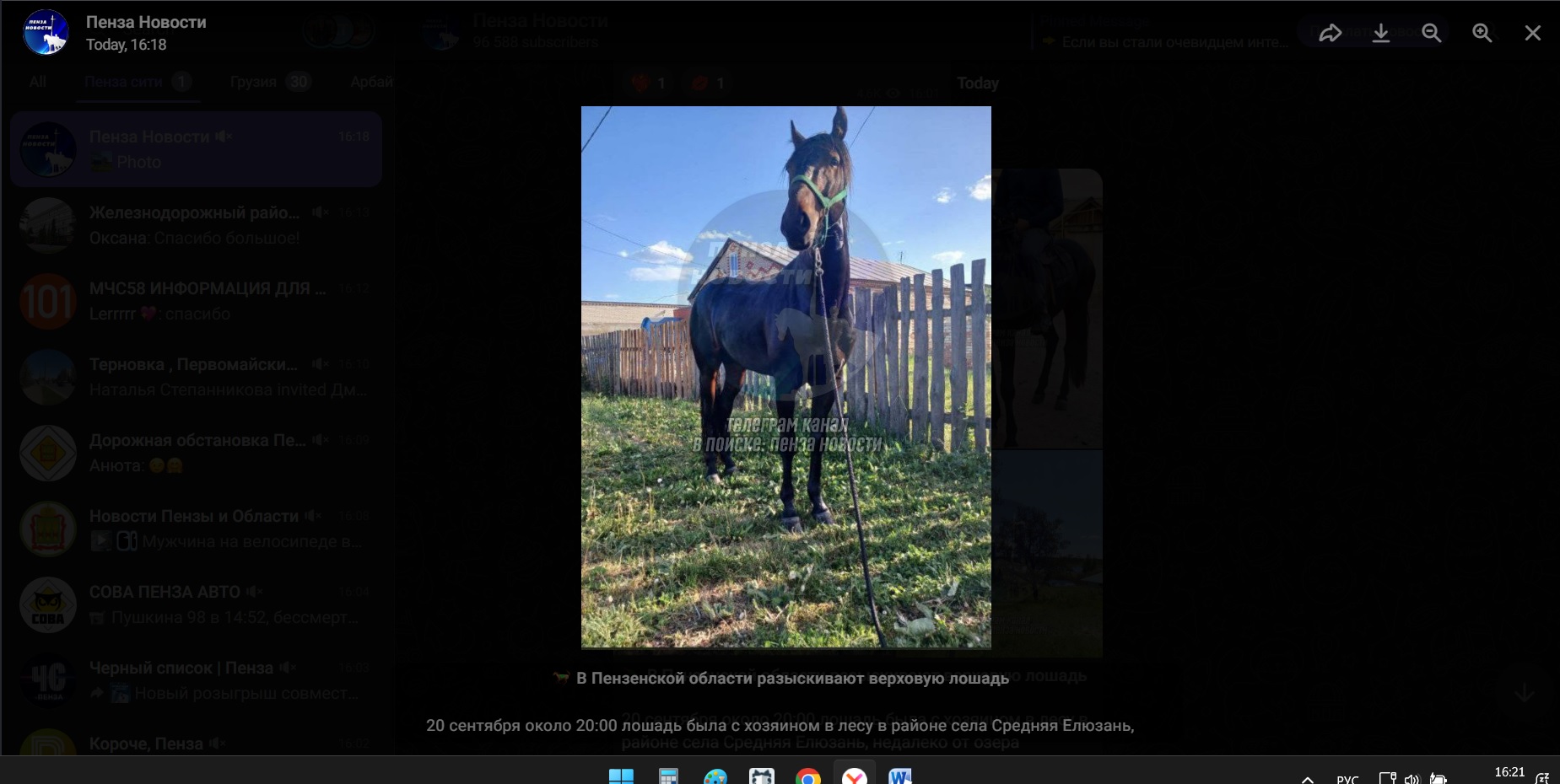 В Пензенской области разыскивают верховую лошадь