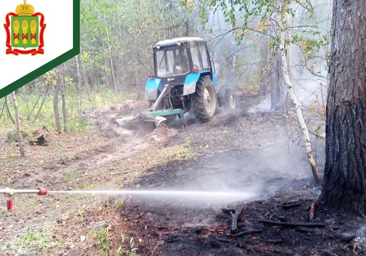 В Сосновоборском районе ликвидировали лесной пожар площадью 1,13 га
