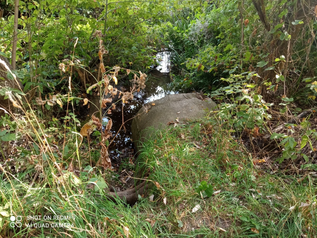 Дорога к святыне в Колышлейском районе может провалиться под воду