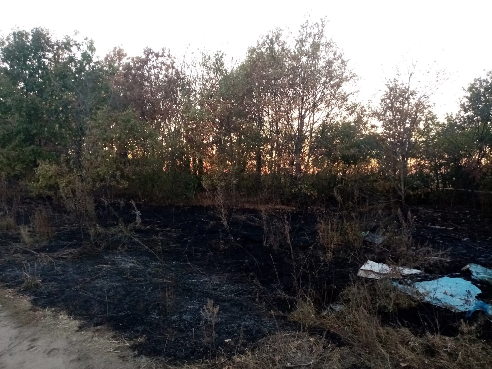 В Городищенском районе трава горела на площади 250 квадратных метров