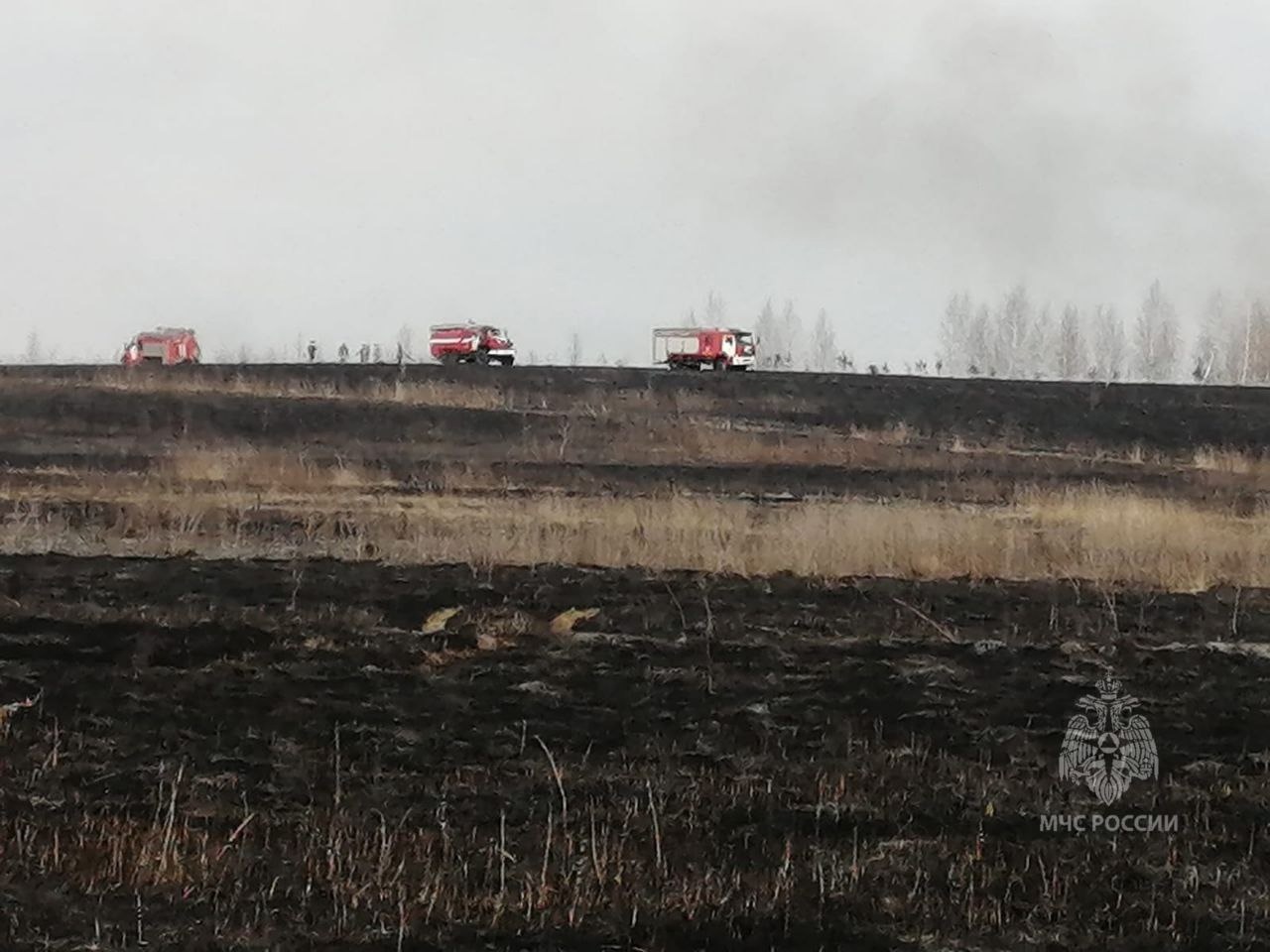 Пожар на Рузляева в Пензе достиг 3 га и едва не перекинулся на дома