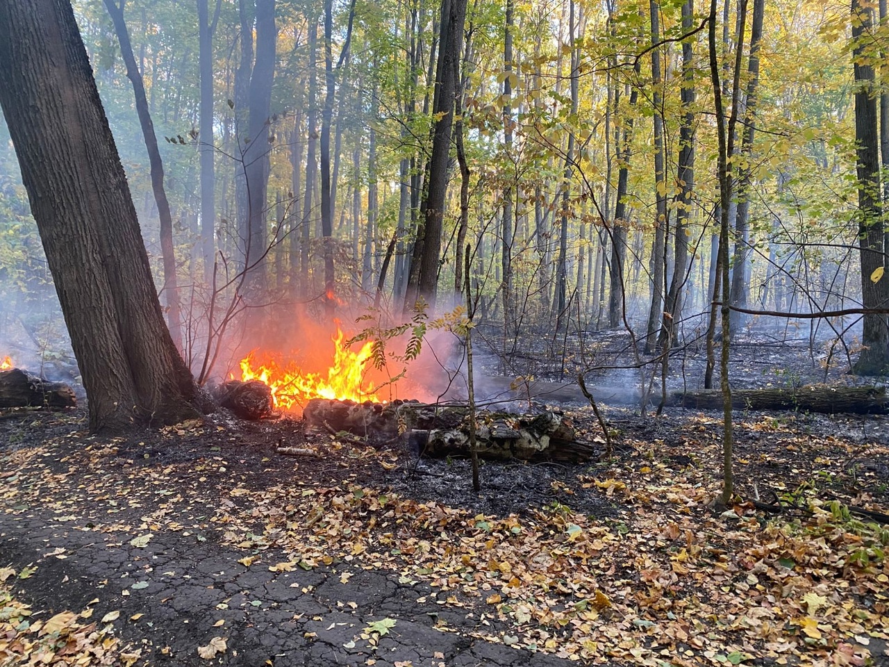 В Пензенской области огонь уничтожил 6 домов и машину