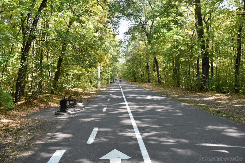 В Пензе обновят парковку у Дизель-Арены и благоустроят Олимпийскую аллею