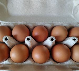 Бананы и яйца стали лидерами подорожания в российских магазинах