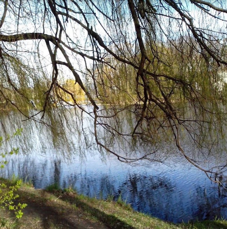 16 сентября в Пензе теплая ясная погода