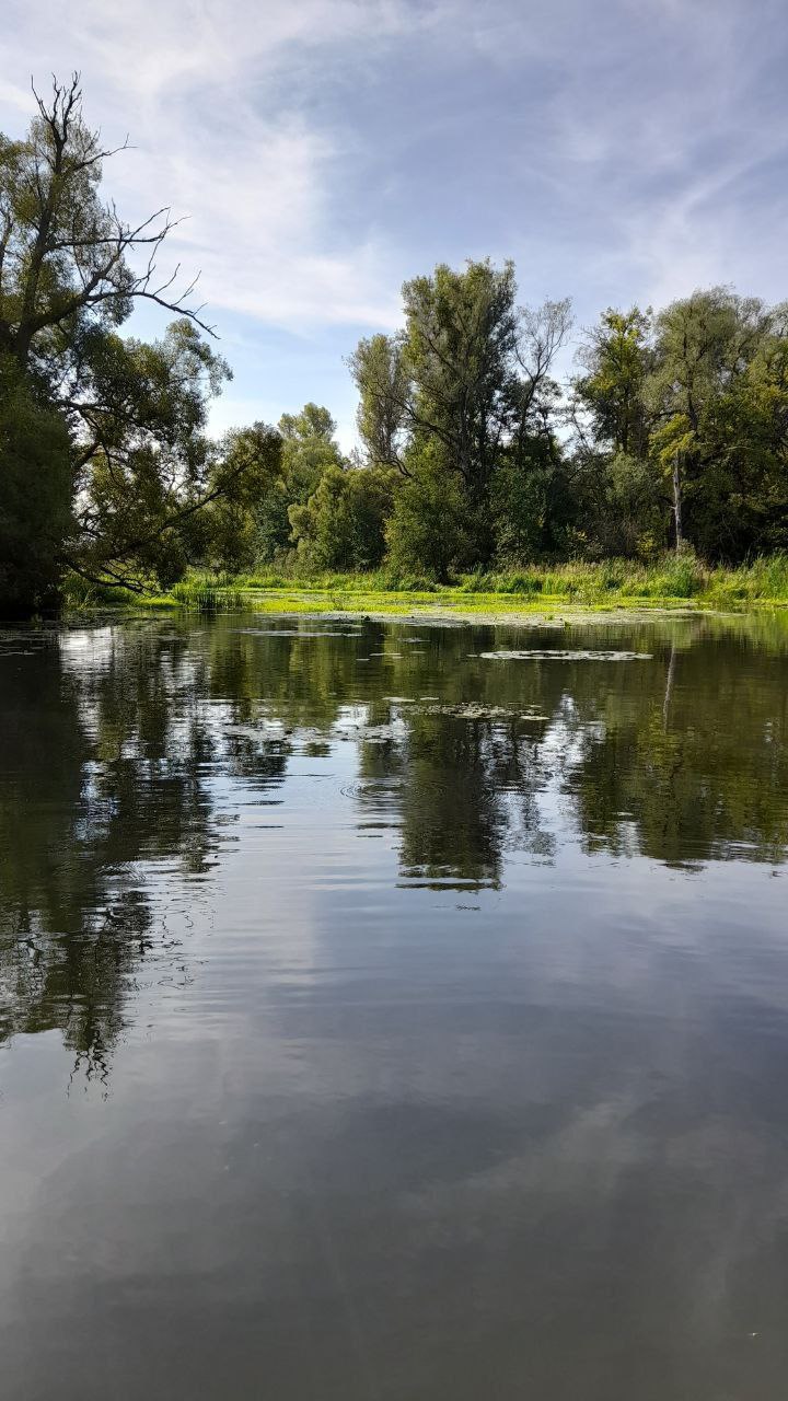 В Пензе волонтеры-экологи очистили старое русло Суры