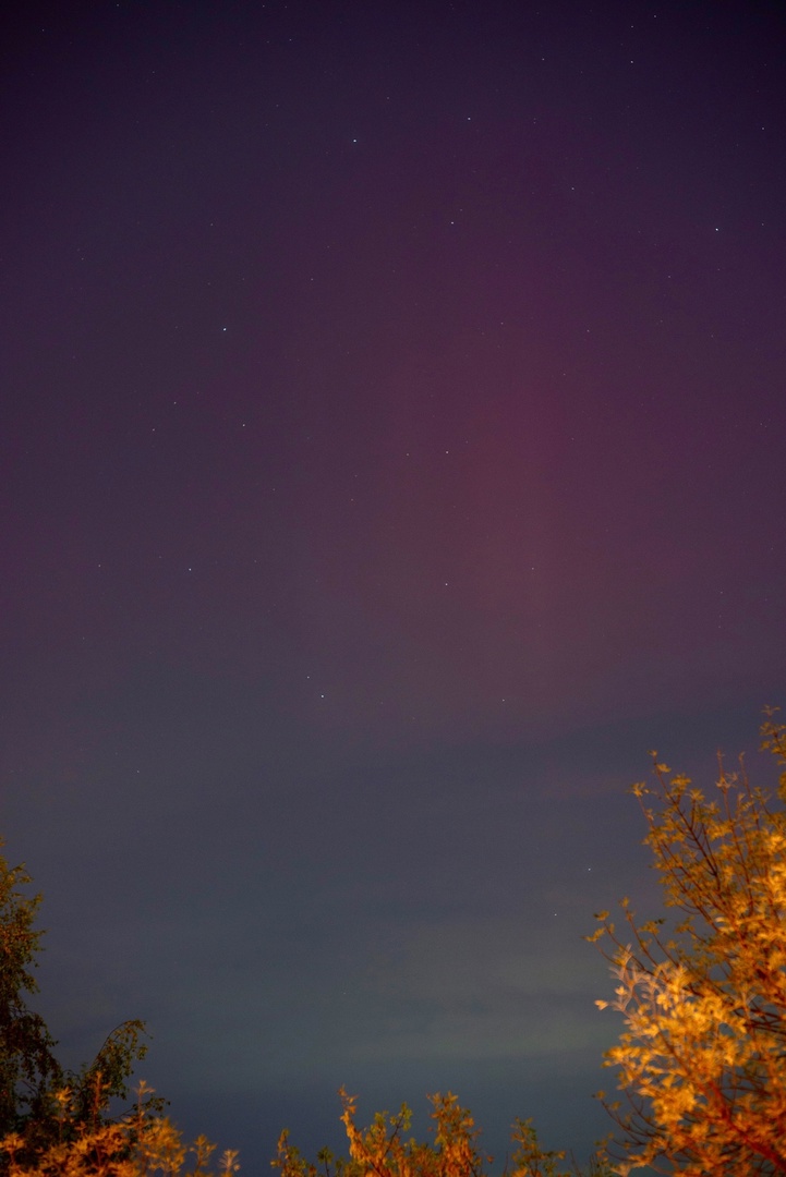 Жители Пензы смогли разглядеть полярное сияние