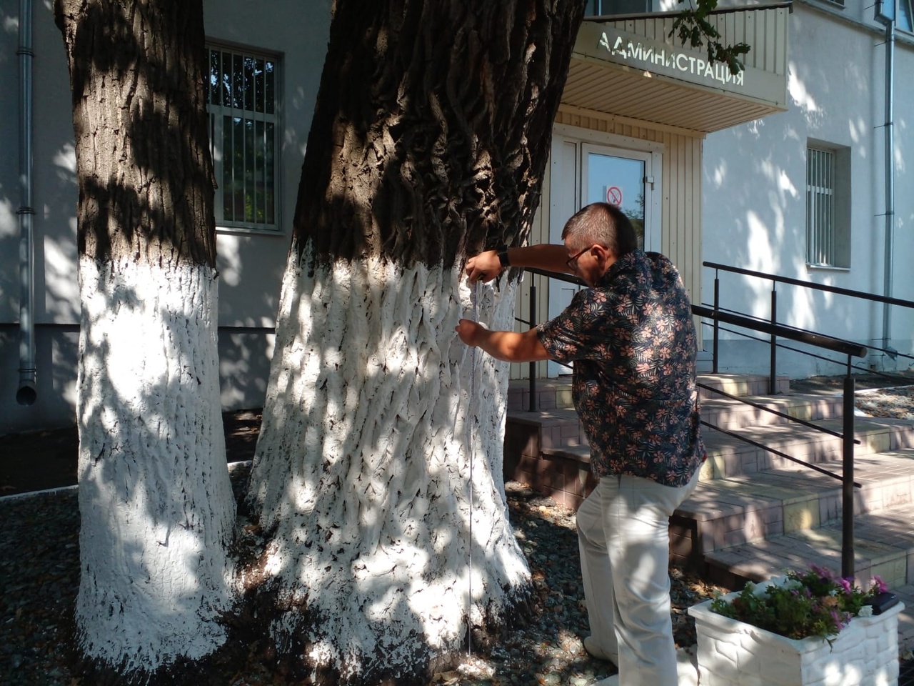 В Пензе нашли один из самых старинных дубов региона