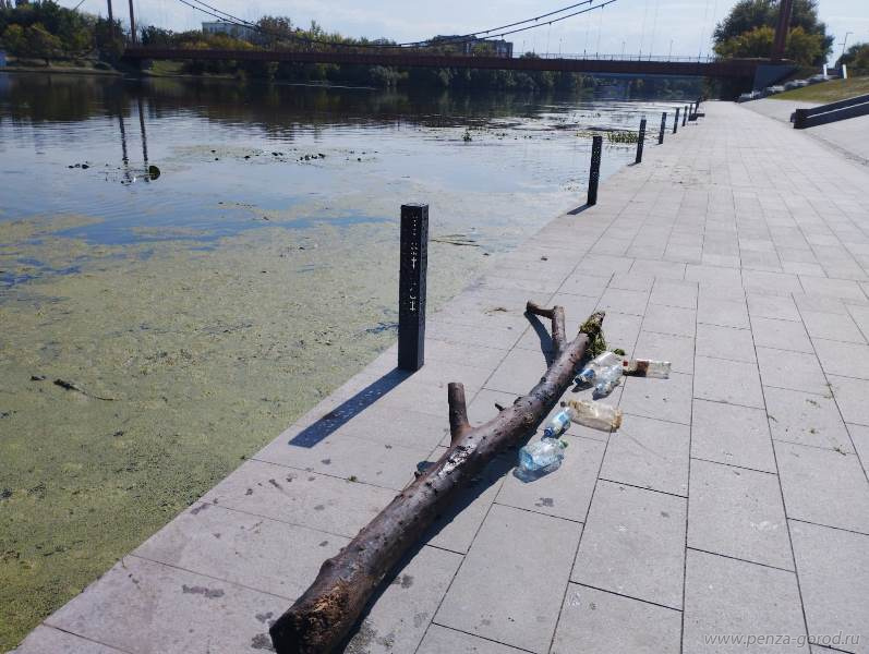 В Пензе после жалоб очистили реку Сура