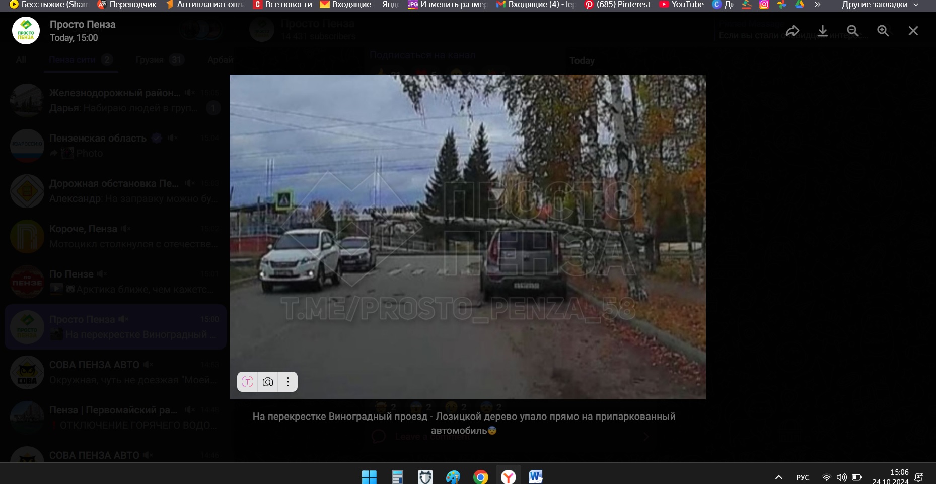 В Пензе дерево рухнуло прямо на припаркованную машину