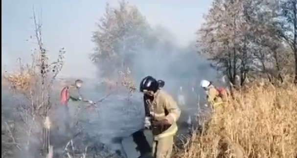 В Сердобском районе пожарные тушили камыш ранцами