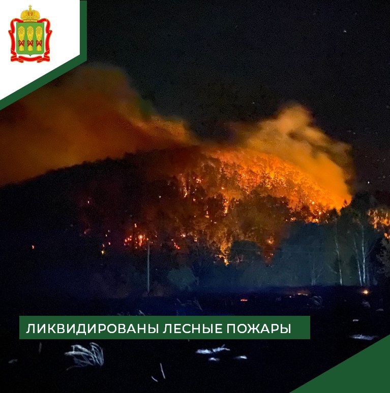 В Пензенской области за сутки потушили 8 лесных пожаров