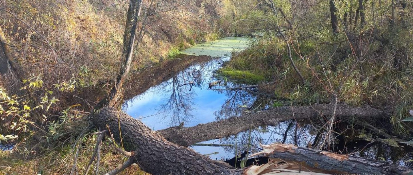 Нефть залила дорогу и реку в Кузнецком районе, объявлен режим ЧС