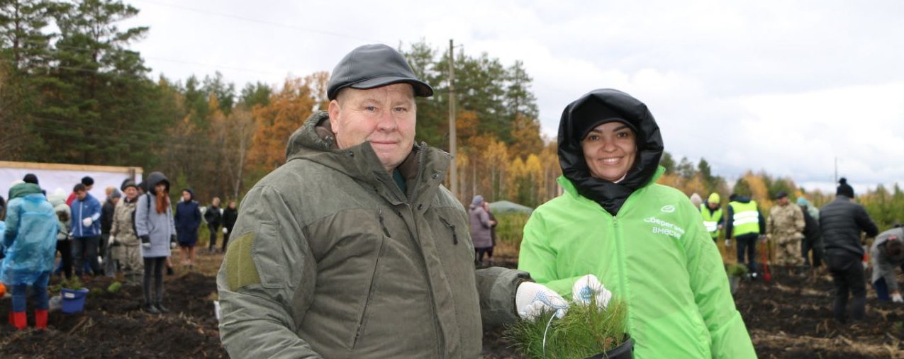 В Кузнецком районе в рамках акции высадили 5 тысяч саженцев сосны