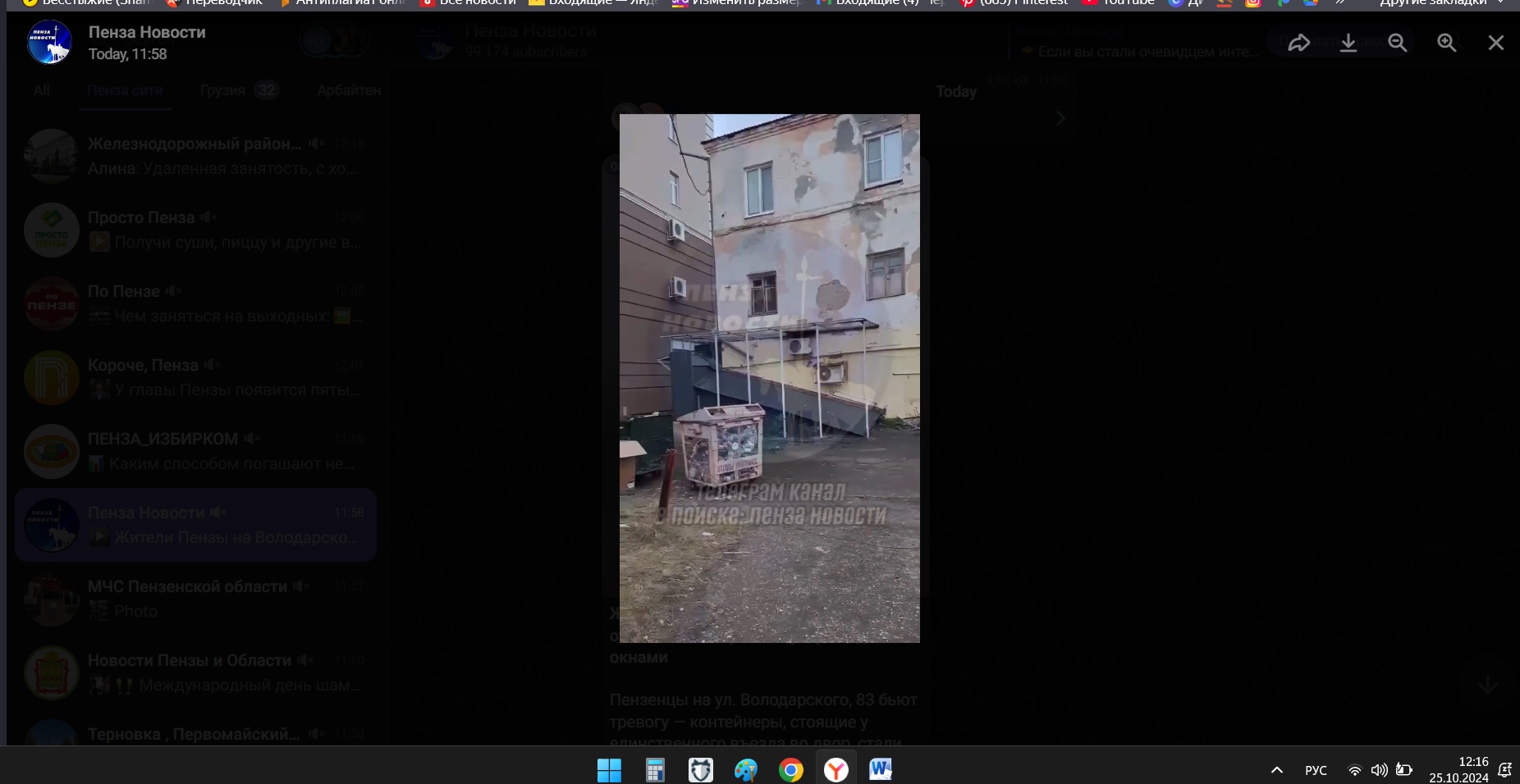 В Пензе на улице Володарского жители страдают от нашествия крыс