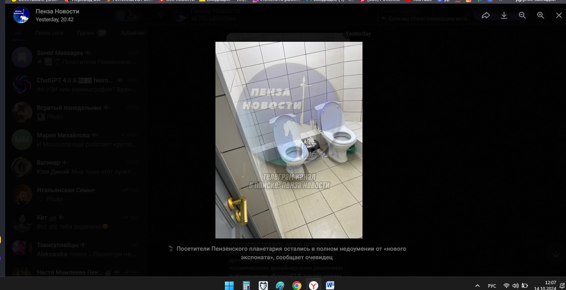 Пензенцев развеселил парный туалет в обновленном планетарии