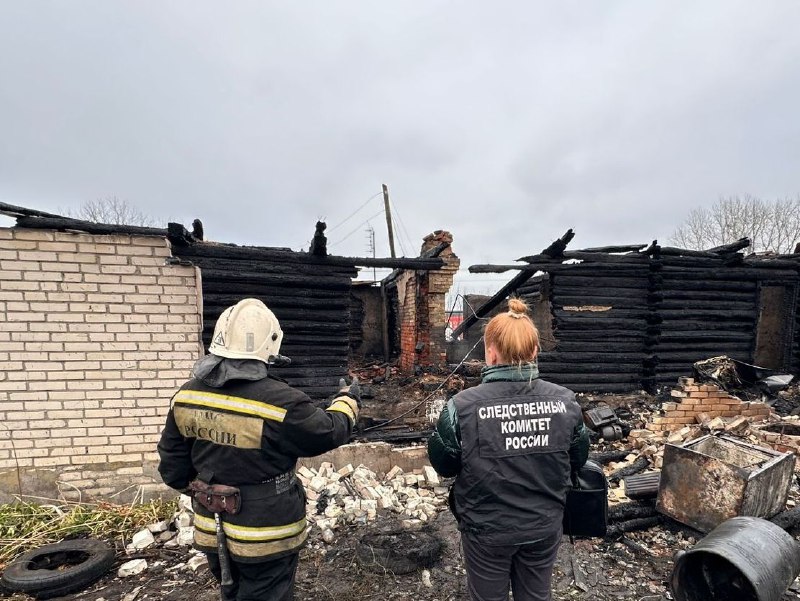 Следователи назвали предварительную причину смертельного пожара в Лопатинском районе