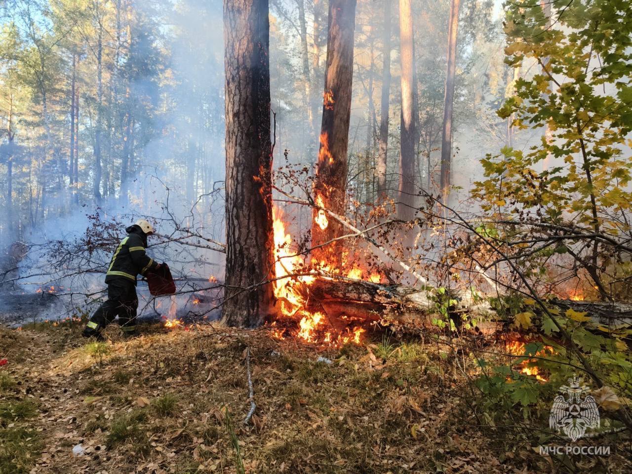 МЧС: в Пензенской области сохраняется особый противопожарный режим