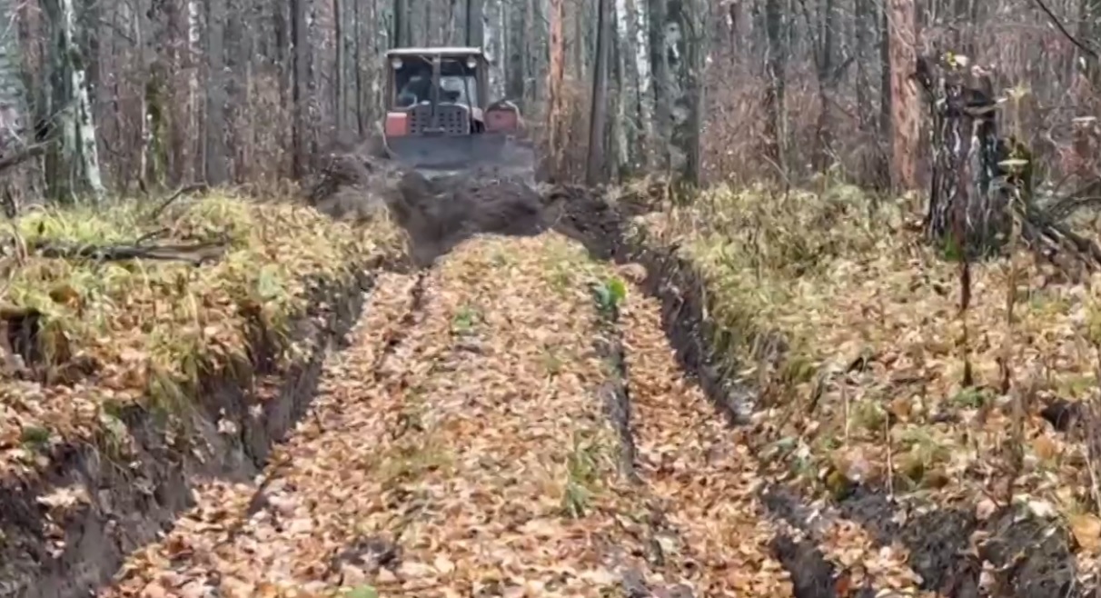 В Пензенской области отремонтировали лесные дороги для борьбы с пожарами