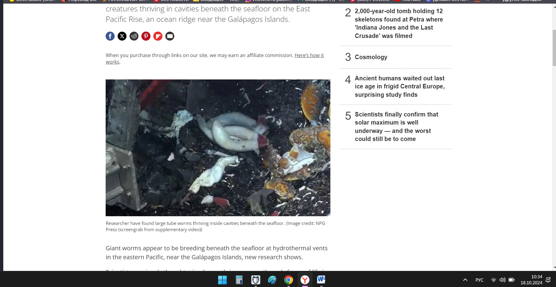 На дне океана обнаружены огромные белые черви, живущие в экстремальных условиях