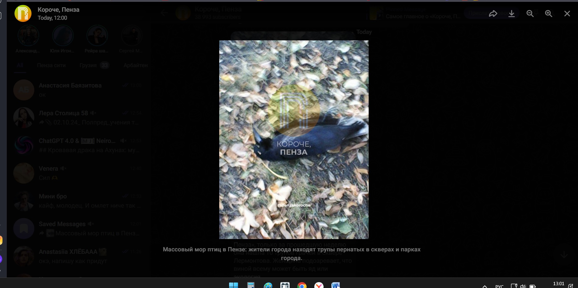 Жители Пензы рассказали о массовом море птиц