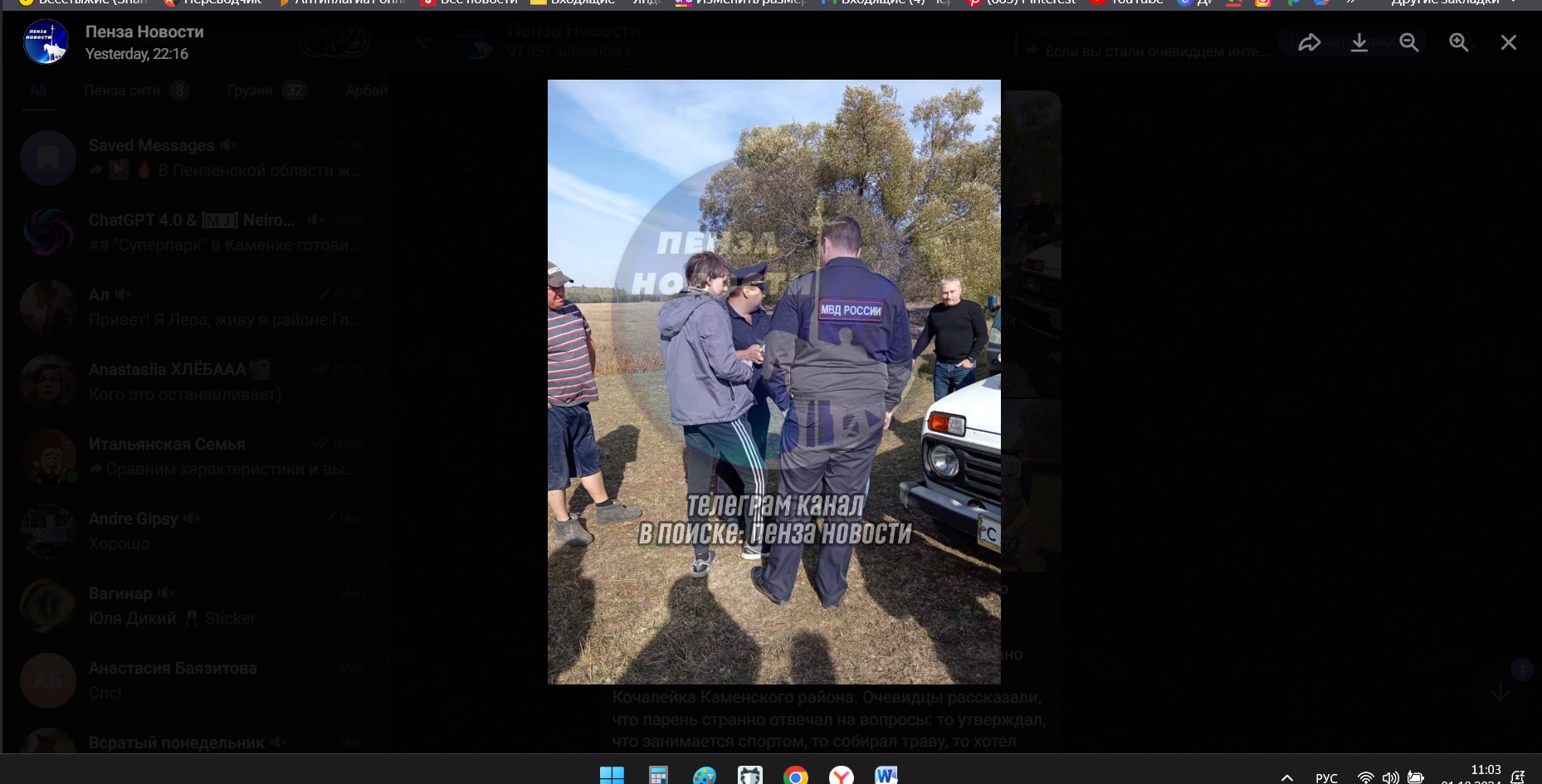 В Каменском районе жители винят в пожарах поджигателя