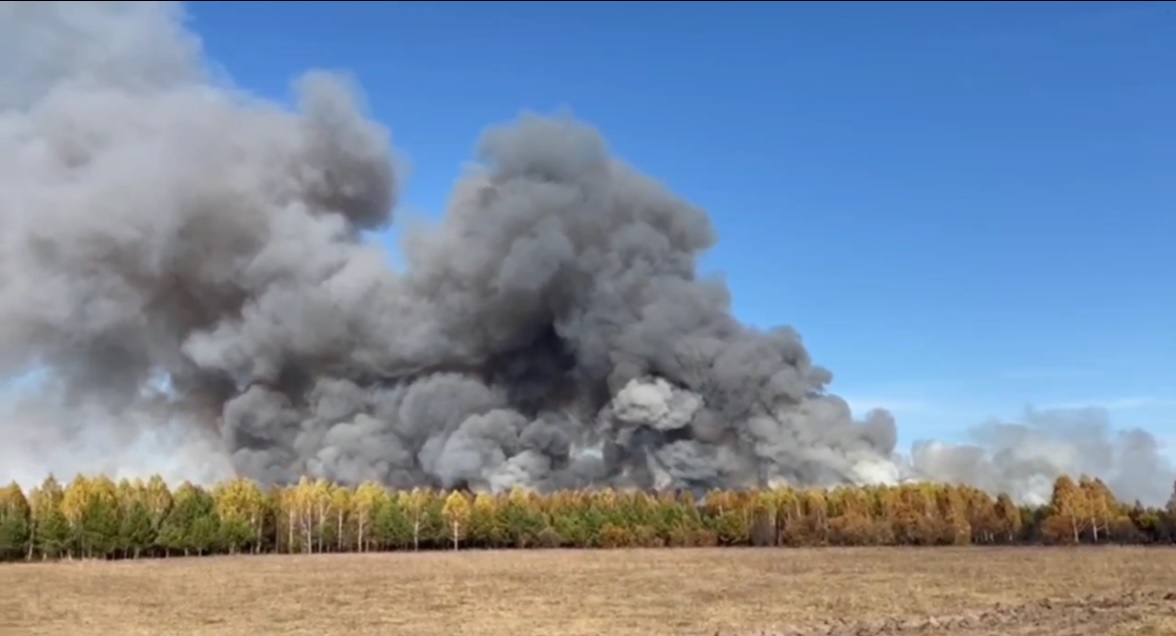 Пензу накрыло смогом из-за пожара, охватившего лес в Шемышейском районе