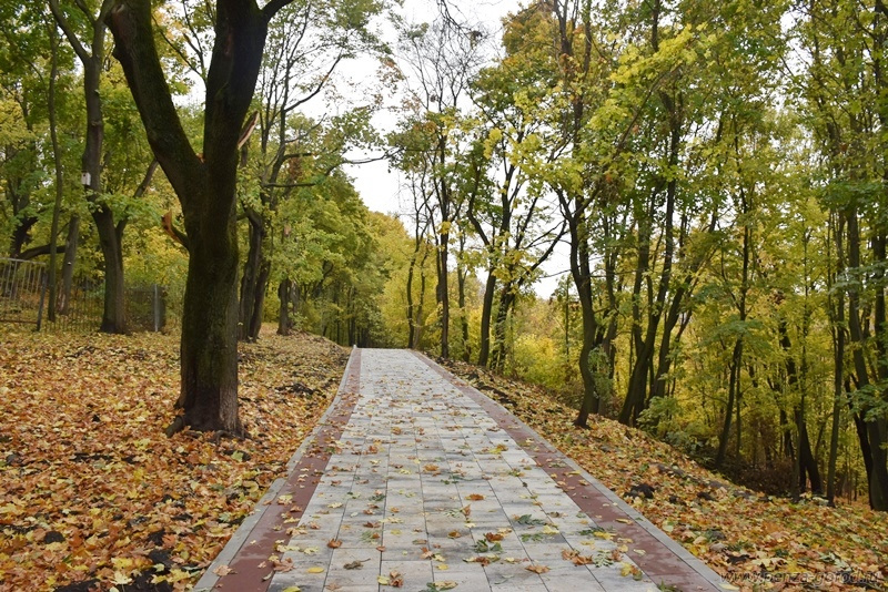 Тропу здоровья в Пензе оденут в гранит и укрепят габионом