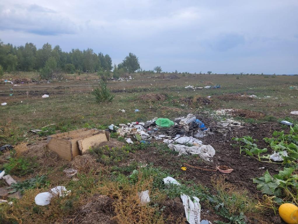 В Пачелмском районе предприниматель ответил за складирование мусора на участке